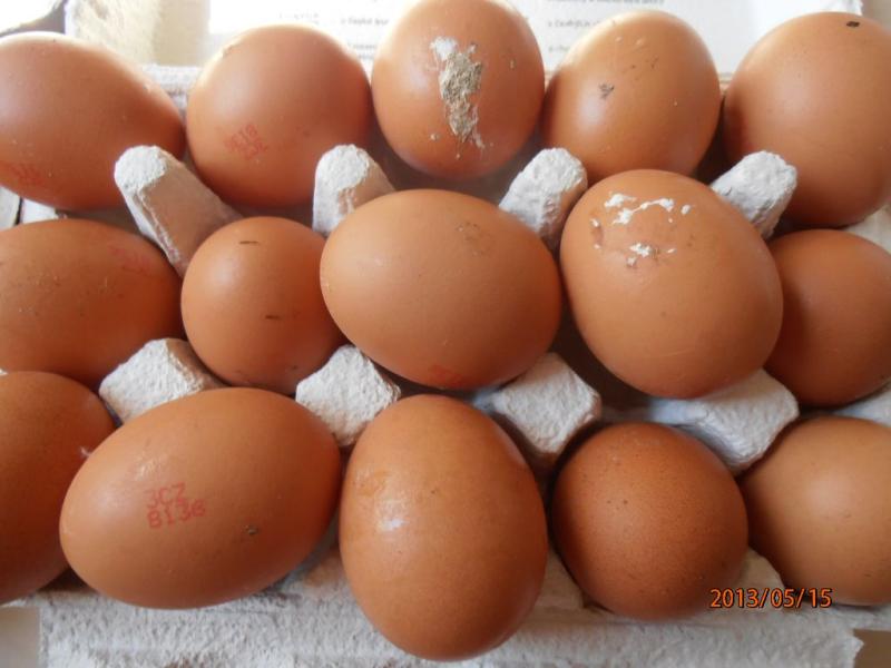 Někdy i více než polovina vajec v balení měla poškozenou nebo špinavou skořápku