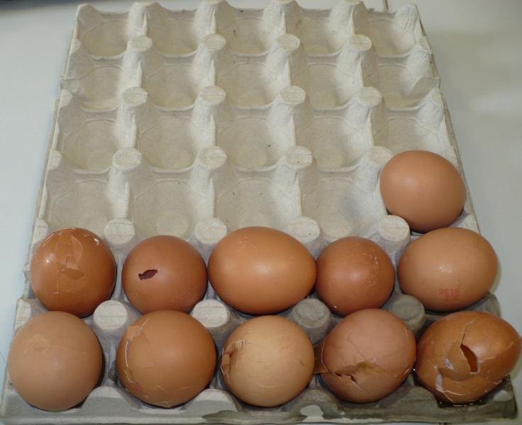 Někdy i více než polovina vajec v balení měla poškozenou nebo špinavou skořápku