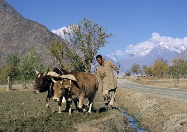 2018-11-karakoram-highway-dc3a1lnice-mezi-osmitisc3adcovkami-7.j