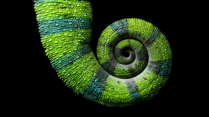 openSUSE