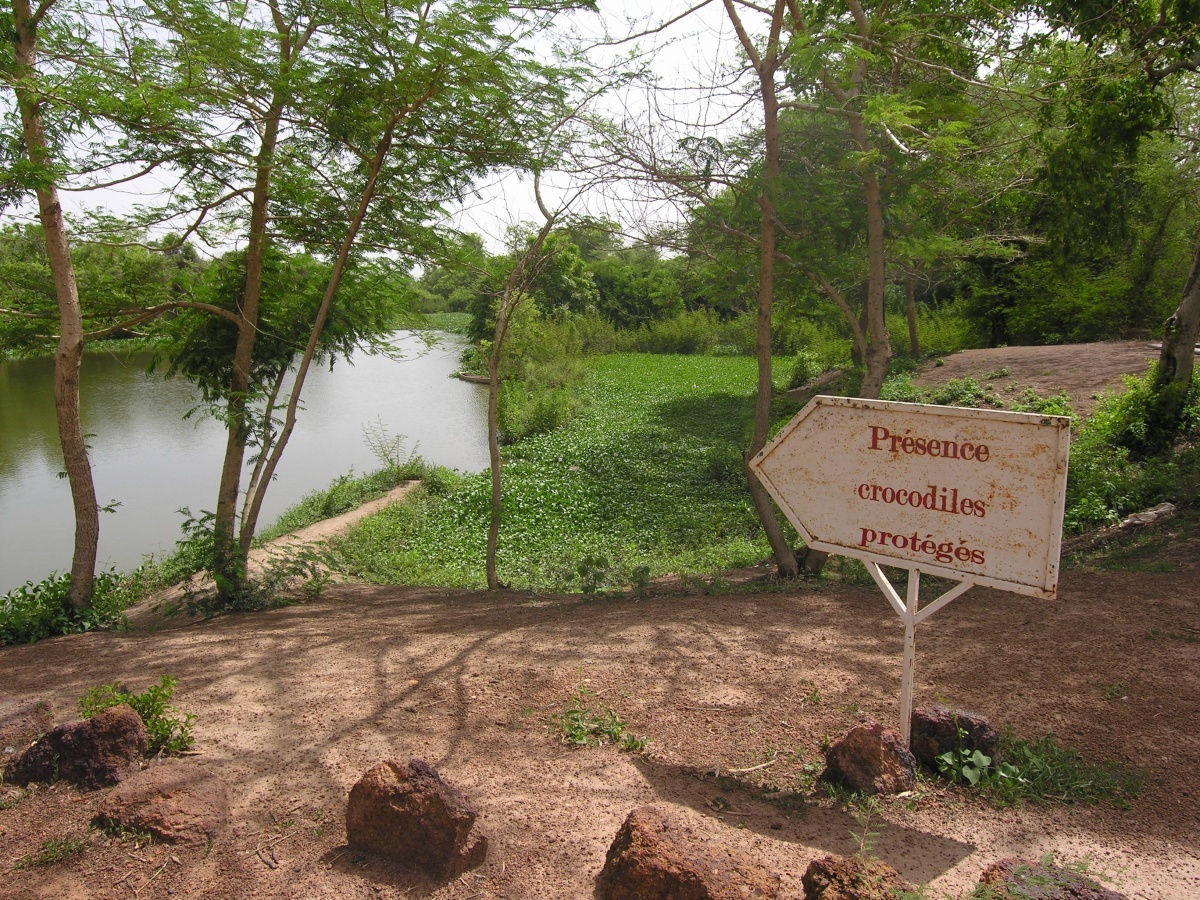 Park v hlavním městě Ouagadougou. Park of Bangr Weogo.