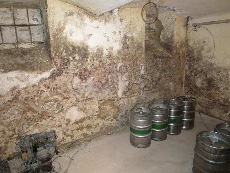 HOSPODA POD SMRKEM, Křečhoř