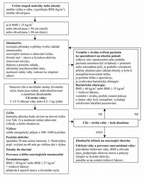 Obr. – Algoritmus pro hodnocení a pro dílčí kroky managementu pro dospělé pacienty s nadváhou a pro obézní dospělé pacienty
