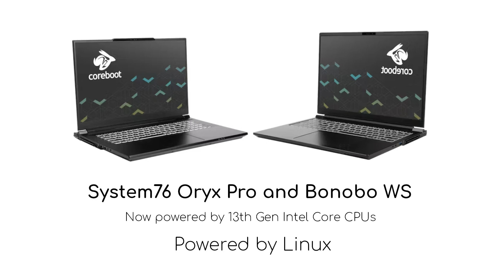 Oryx Pro a Bonobo WS
