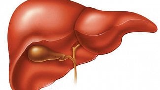 Náhledový obrázek - Lékaři v Brně provedli pětistou transplantaci jater