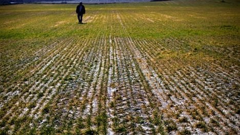 Náhledový obrázek - Náš člověk v Budapešti: Švagrovské šarvátky