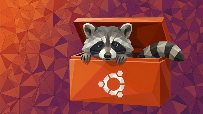 Ubuntu Raccoon
