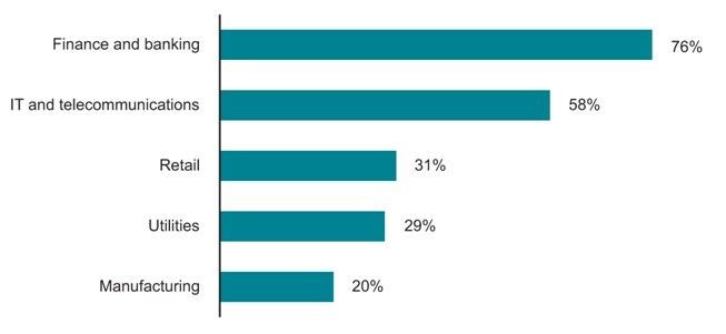 Průmyslové segmenty IT outsourcingu ve střední a východní Evropě v letech 2008-2010*