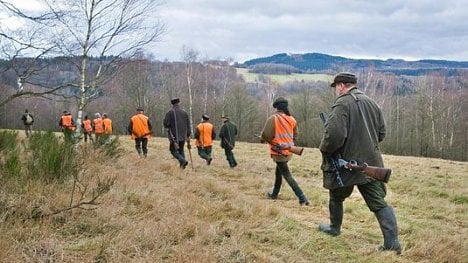 Náhledový obrázek - Mor prasat: Čunek vyhlásí zákaz vstupu do oblasti nákazy