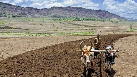 Náhledový obrázek - Tohle je smartphone. Češi učí Afričany farmařit podle aplikace