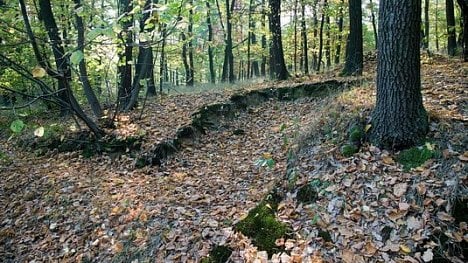 Náhledový obrázek - Stát chce kvůli církevním restitucím kupovat od soukromníků lesy za miliardy korun