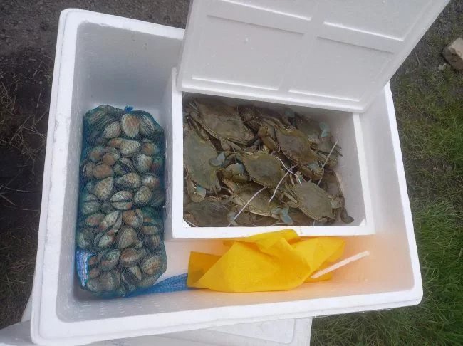 SAPA a tuny živočišných produktů neznámého původu