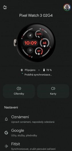 Domovská obrazovka Pixel Watch