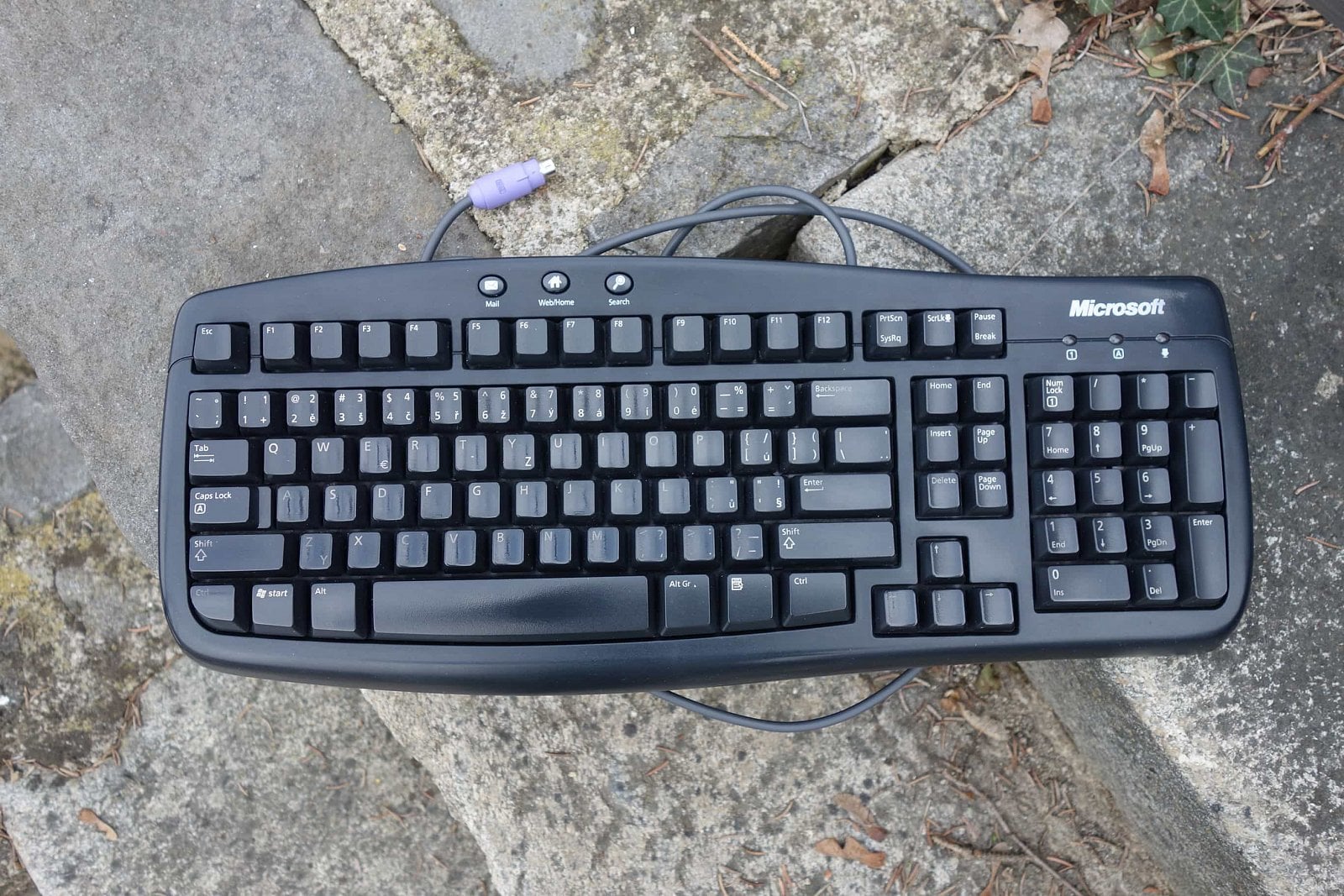 Microsoft Basic Keyboard