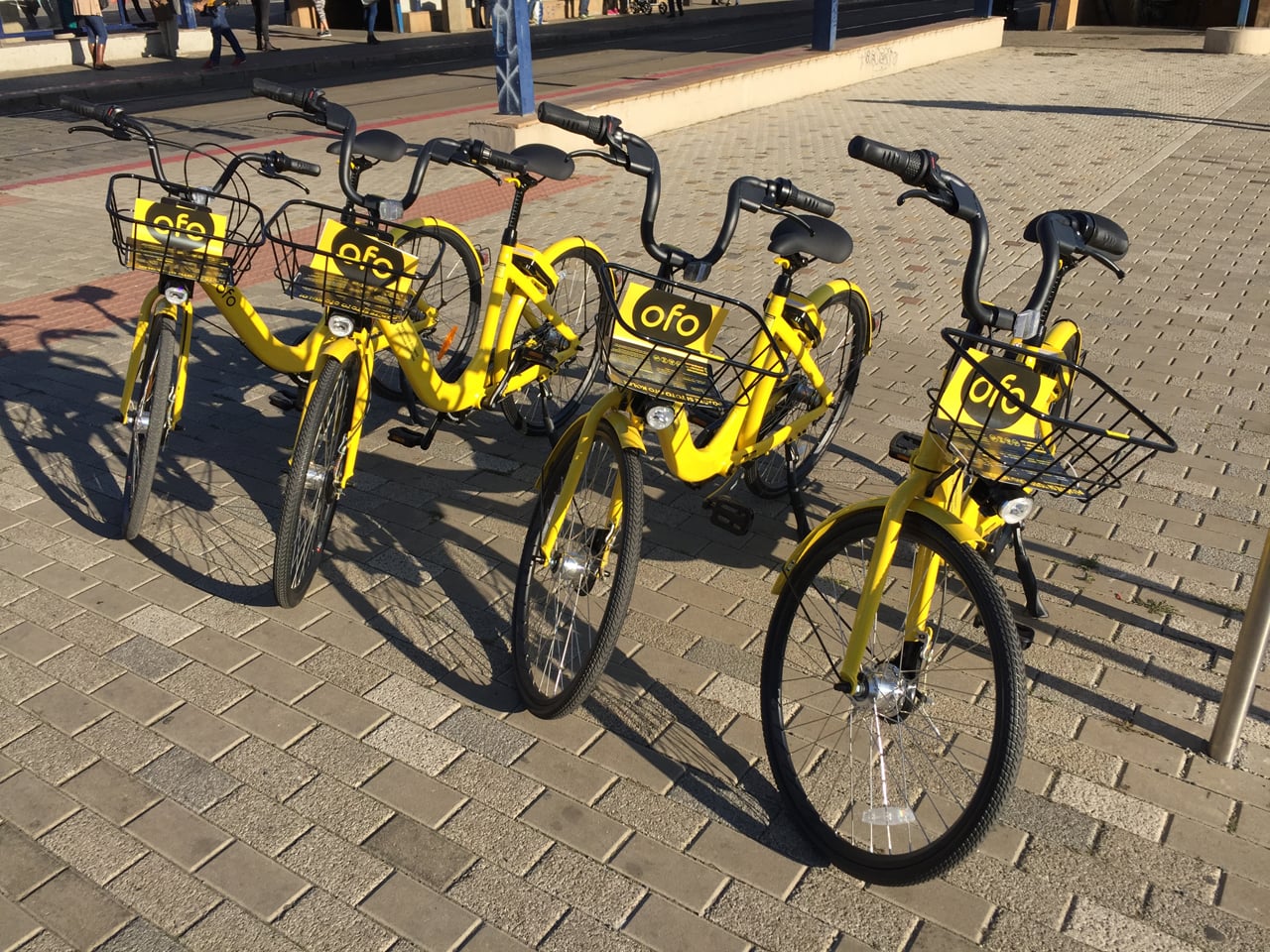 Čínská kola ofo startují v Praze