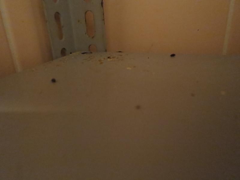 Hostinec U Přívozu, Kunětice