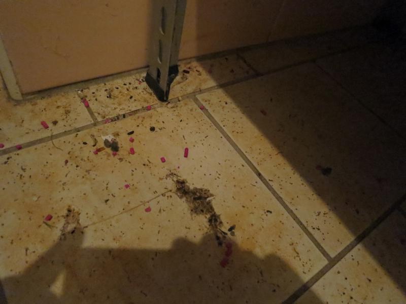 Hostinec U Přívozu, Kunětice