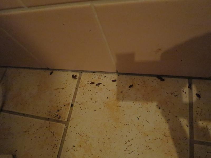 Hostinec U Přívozu, Kunětice