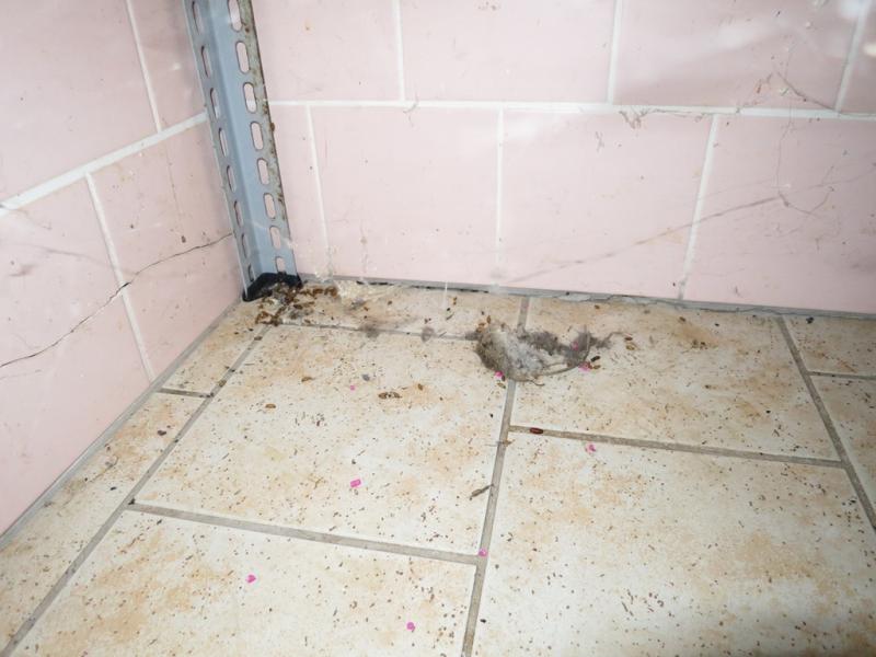 Hostinec U Přívozu, Kunětice