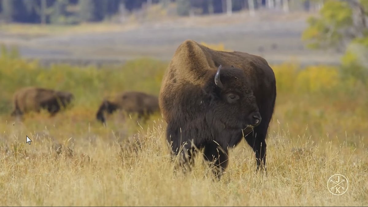 Alfawise H96 Mini - Ukázky přehrávání videosouborů 2/2