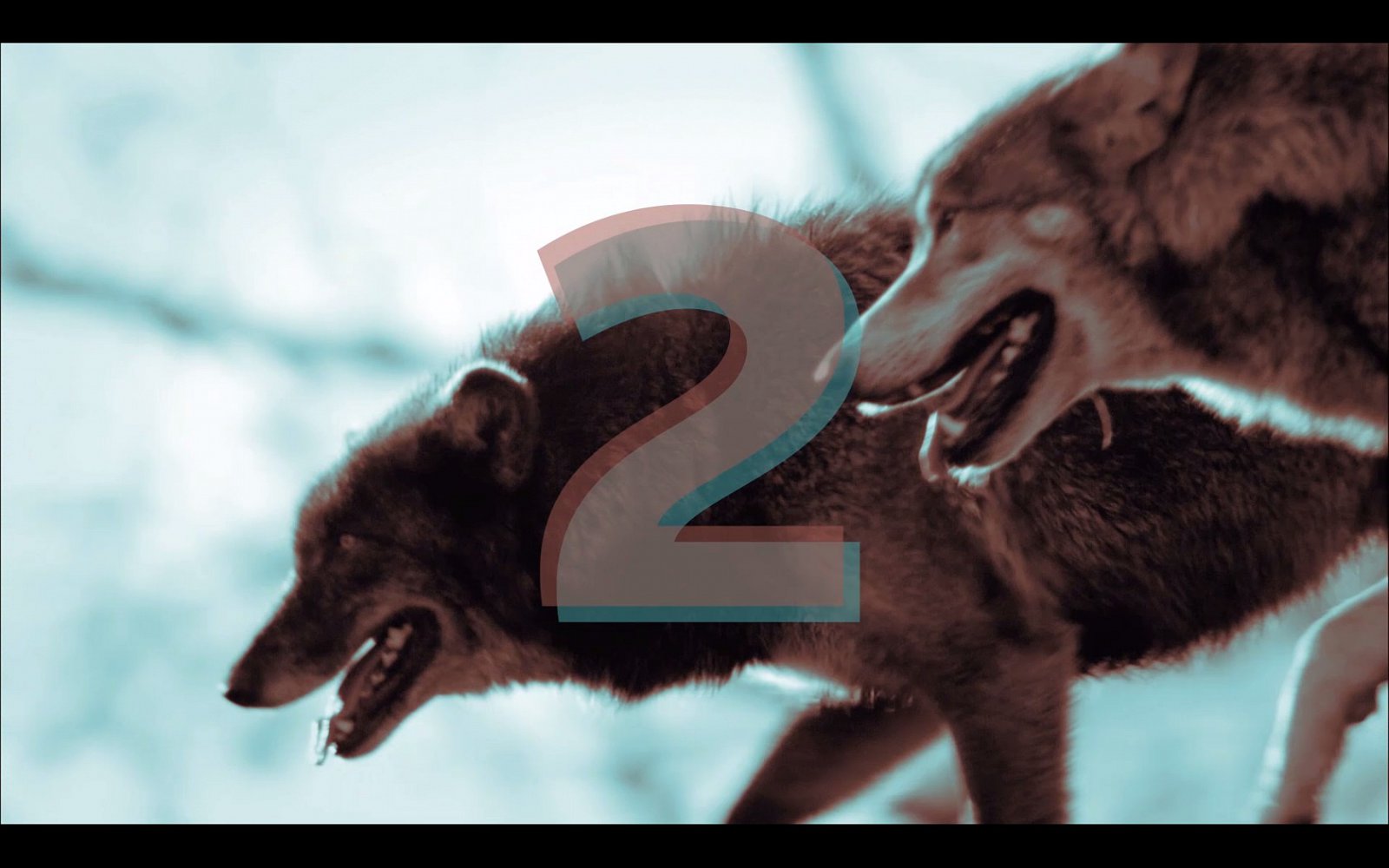 Nový vizuál Dvojky České televize - 31. srpna 2014