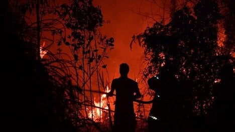 Náhledový obrázek - Kvůli vám hoří pralesy. Greenpeace obviňuje potravinářské giganty