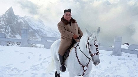 Náhledový obrázek - Nákupy podle Kima. Vůdce KLDR si nechal z Ruska dovézt dvanáct čistokrevných koní za téměř dva miliony