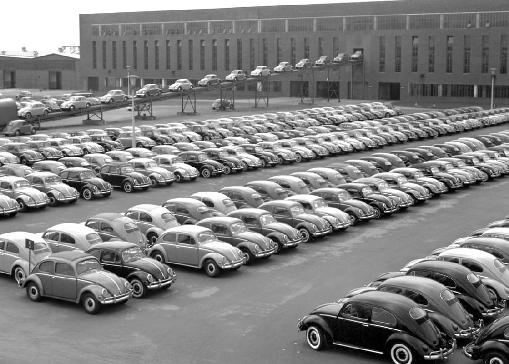 Nekonečná řada „brouků“: jestlipak se některý z exemplářů na fotografii z expediční plochy dochoval až dodnes?