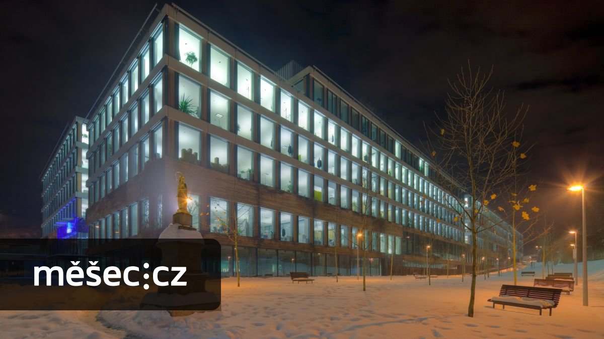 ČSOB se daří. Čistý zisk skupiny za rok 2025 stoupl na 19,8 miliardy korun