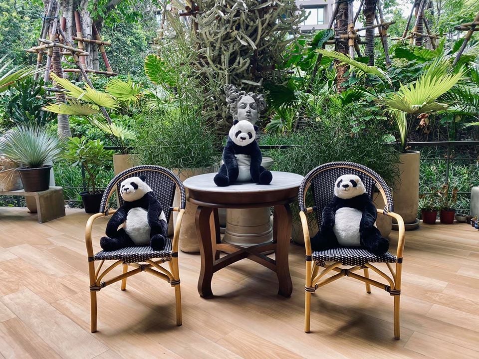 Maison Saigon v Bangkoku