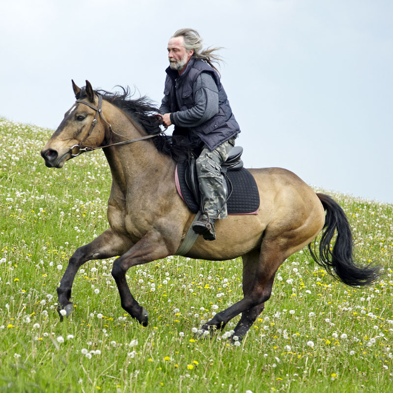 Znamení koně - fotogalerie z I. řady