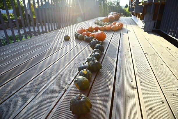 Dýně v Botanické zahradě