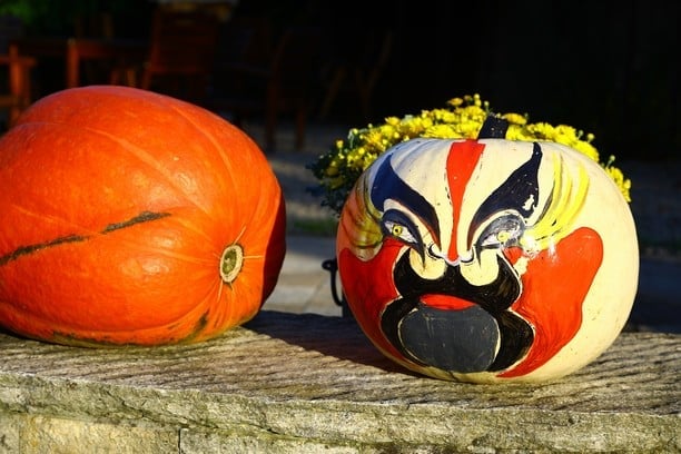 Dýně v Botanické zahradě