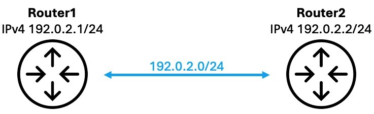 Dva propojené routery, které používají pro komunikaci mezi sebou adresy ze sítě 192.0.2.0/24.