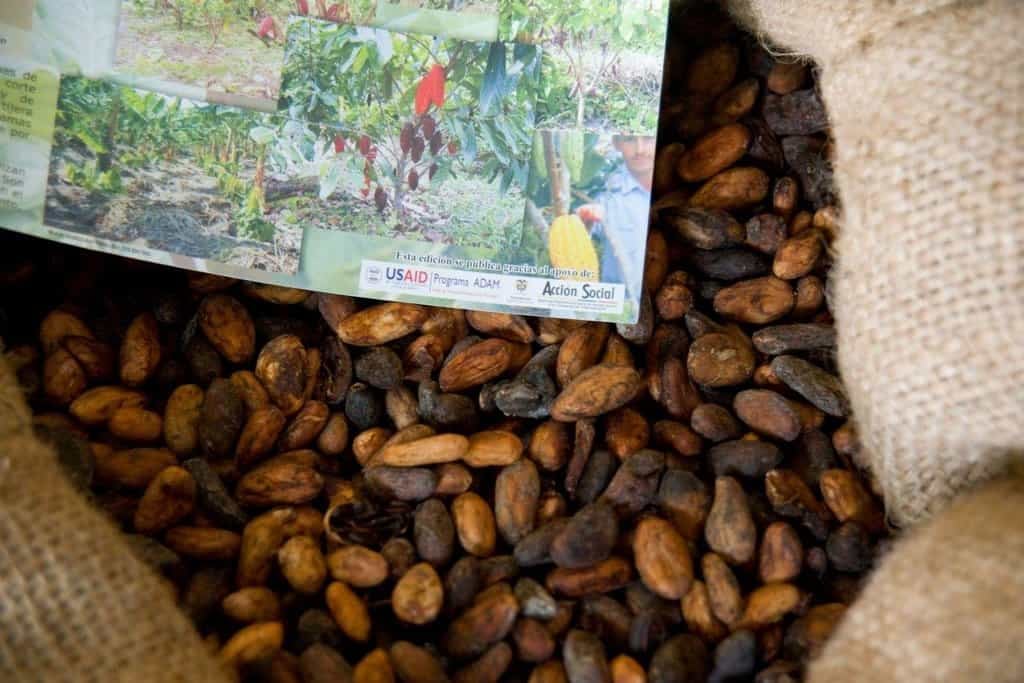 2019-05-dilema-farmc3a1c599c5af-pc49bstovat-kakao-nebo-koku-7.jp