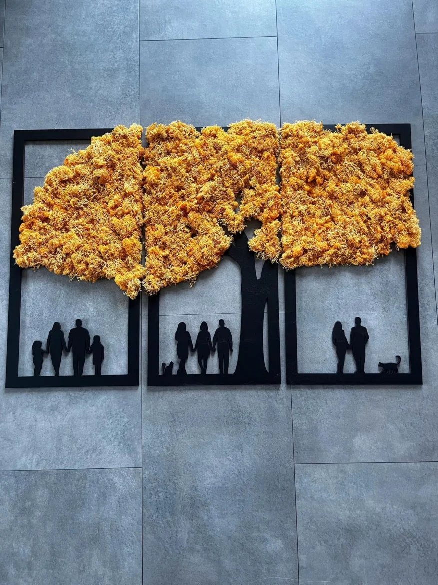 Obraz s využitím stabilizovaného mechu