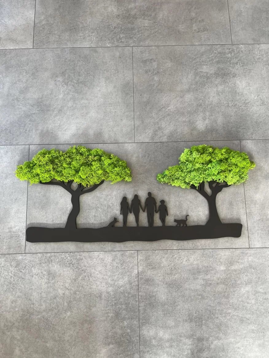 Obraz s využitím stabilizovaného mechu