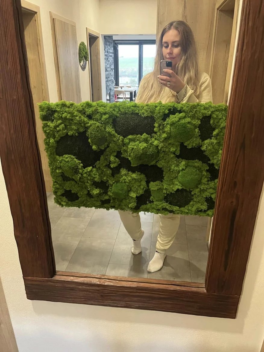 Ivona a obraz s využitím stabilizovaného mechu