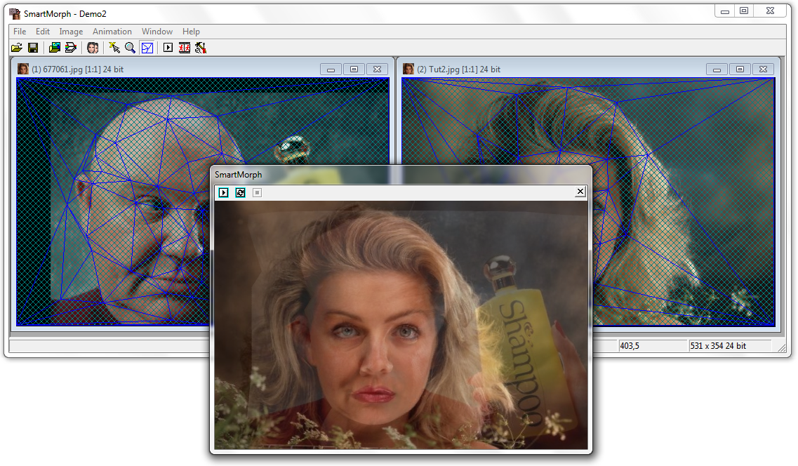<p>SmartMorph - ukázka přechodu</p>
