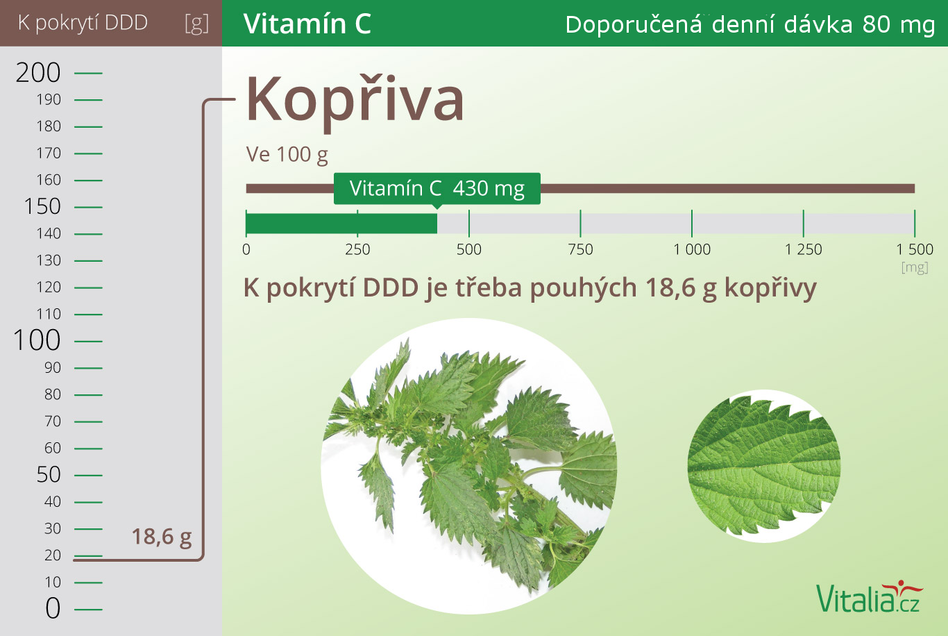 Kopřiva obsahuje až 430 mg vitamínu C na 100 g