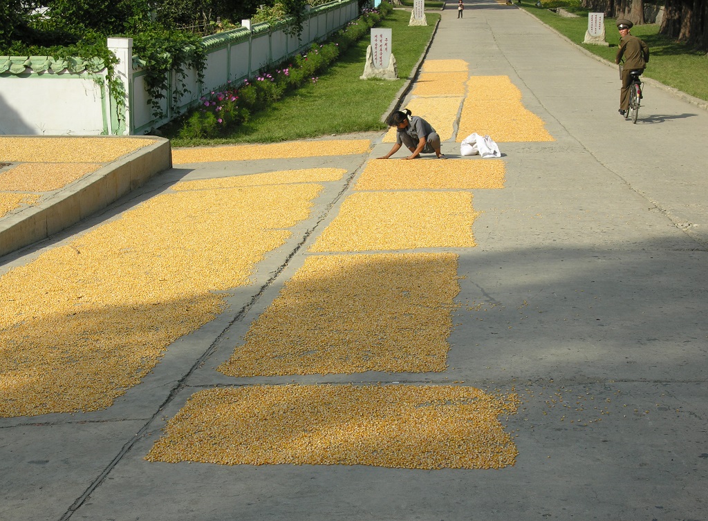 Jediné, co jsme viděli ze zemědělské výroby na farmě.