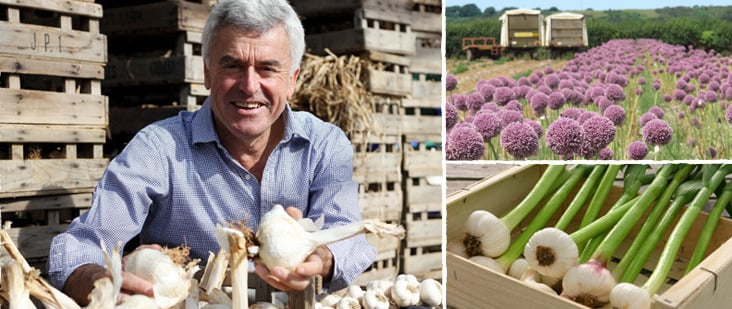 Česneková farma The Garlic Farm