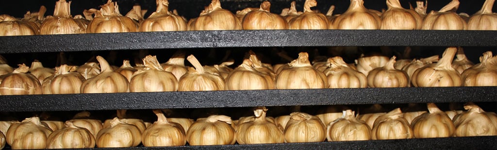 Česneková farma The Garlic Farm