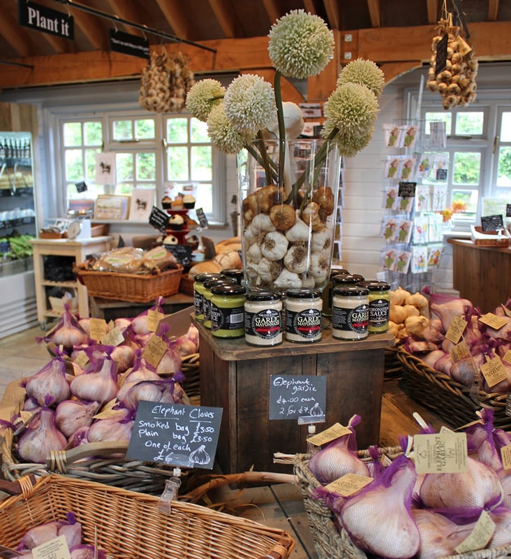 Česneková farma The Garlic Farm