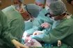 První tuzemská multiviscerální transplantace se odehrála 12. prosince 2014 v IKEM.
