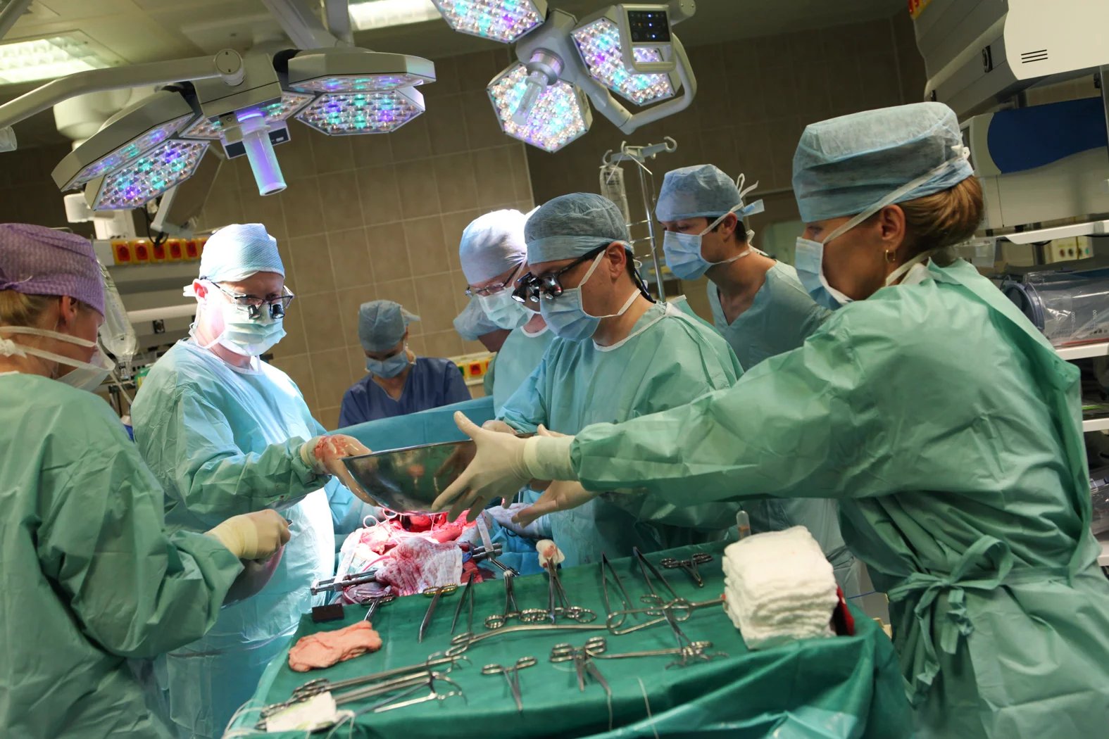 Tenké střevo tehdy bylo transplantované v tuzemsku vůbec poprvé.