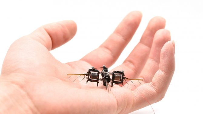 Vědci z MIT vyvinuli unikátního robota podobného včele. Za 20 let by mohl opylovávat rostliny na Marsu