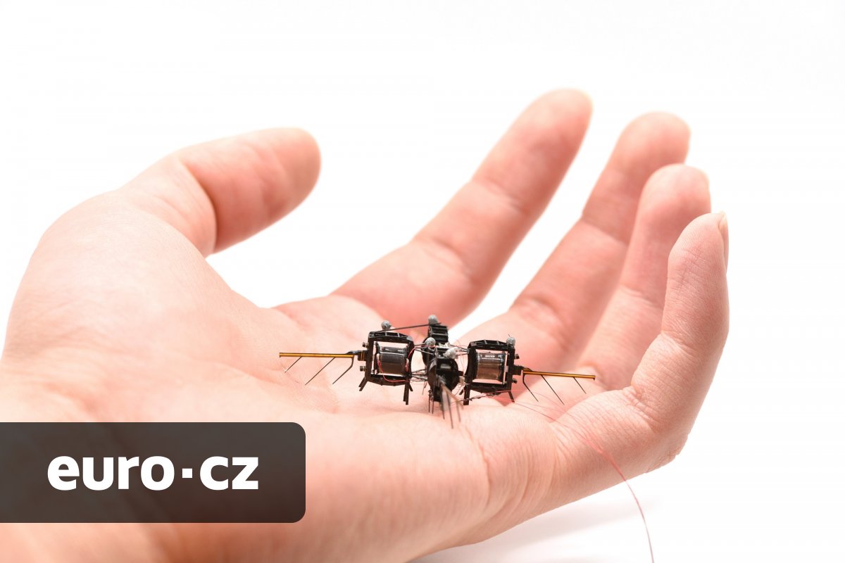 Vědci z MIT vyvinuli unikátního robota podobného včele. Za 20 let by mohl opylovávat rostliny na Marsu