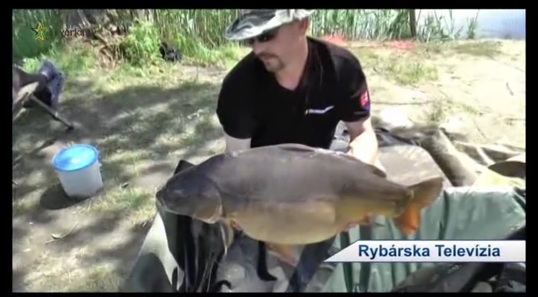 Slovenské regionální programy