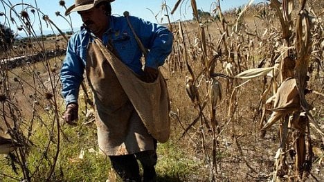 Náhledový obrázek - Mexiko, Írán, Japonsko. Noví agrární diplomaté by mohli začít své mise na jaře 2019